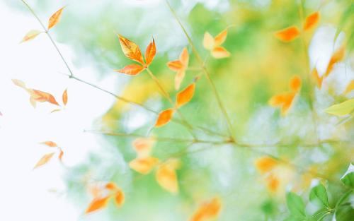 滨州医学院2020年成人高考录取注册和学习方式是怎么样的？(1)