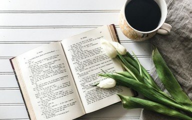 成考录取后能不能改专业?(1)