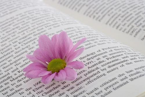 2021年报考贵州省成人高考有什么用？(1)