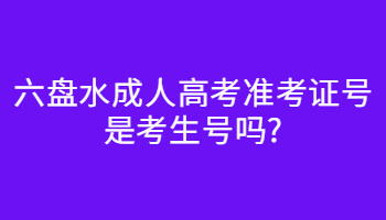 六盘水成人高考准考证号是考生号吗?