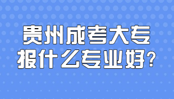 贵州省成考大专报什么专业好?