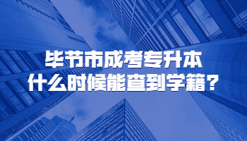 毕节市成考专升本什么时候能查到学籍?