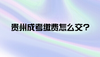 贵州省成考缴费怎么交?