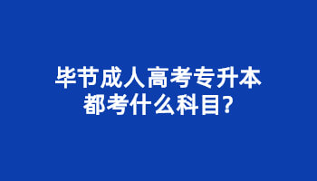 毕节成人高考专升本都考什么科目?