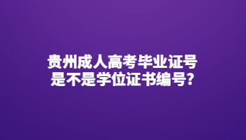 贵州省成人高考毕业证号是不是学位证书编号?