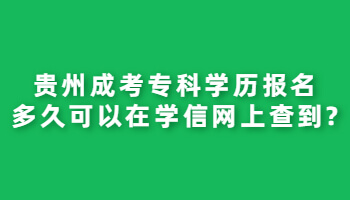 贵州省成考专科学历报名多久可以在学信网上查到?