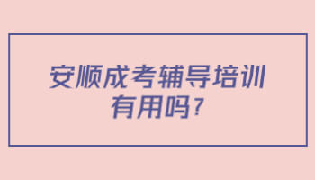 安顺成考辅导培训有用吗?